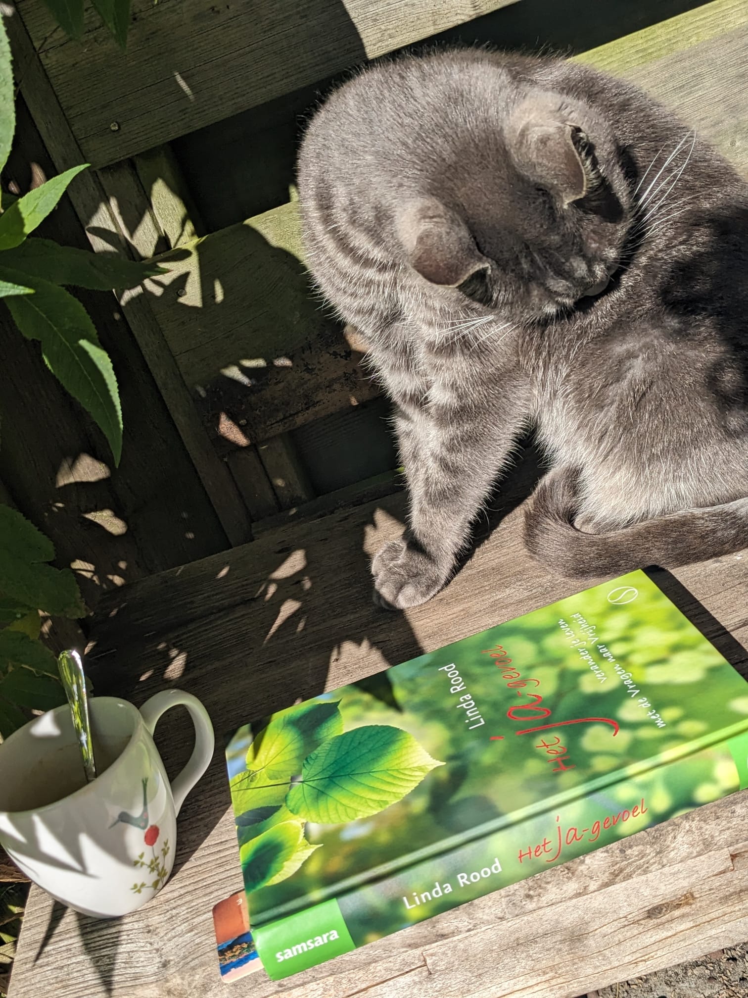 Afbeelding van kat en boek Het ja-gevoel van Juliette Polgar